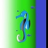 Seahorse